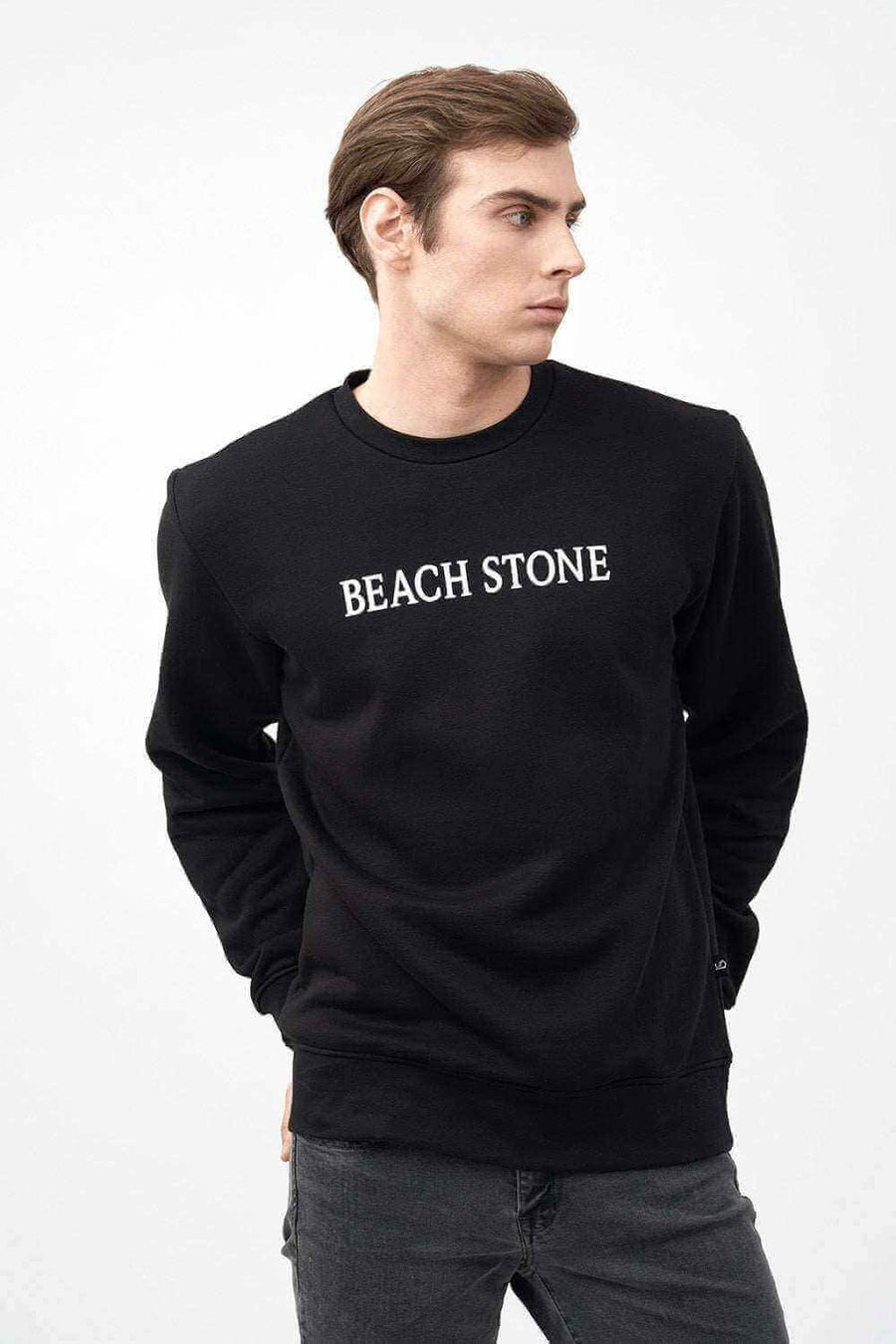 Front View of Crew Neck Men's Sweatshirt with Beach Stone Print