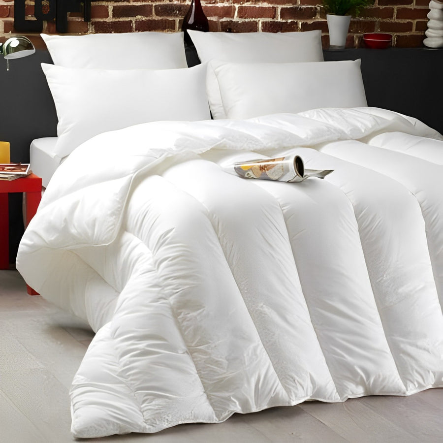 Thick Heavy Warm Soft and Comfortable Winter Duvet Quilt